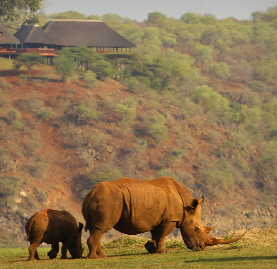 Nkwazi Lake Lodge 퐁골라 외부 사진